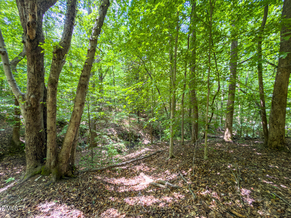 0 Park Springs Road Ruffin, NC 27326 - Photo 23 of 31 Caswell Co. NC 7.19-COA-23