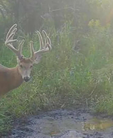 $265,000 | 73 Co Highway 73, Deer Creek, MN 56527