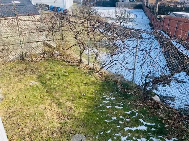 a view of a yard with plants and wooden fence