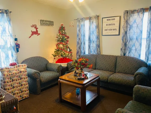 a living room with furniture and a potted plant