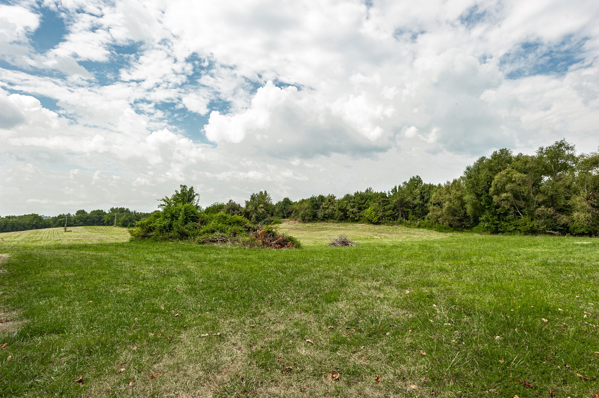 2317 Harlan Road Columbia, TN 38401 - Photo 48 of 55 Gallery Image 48