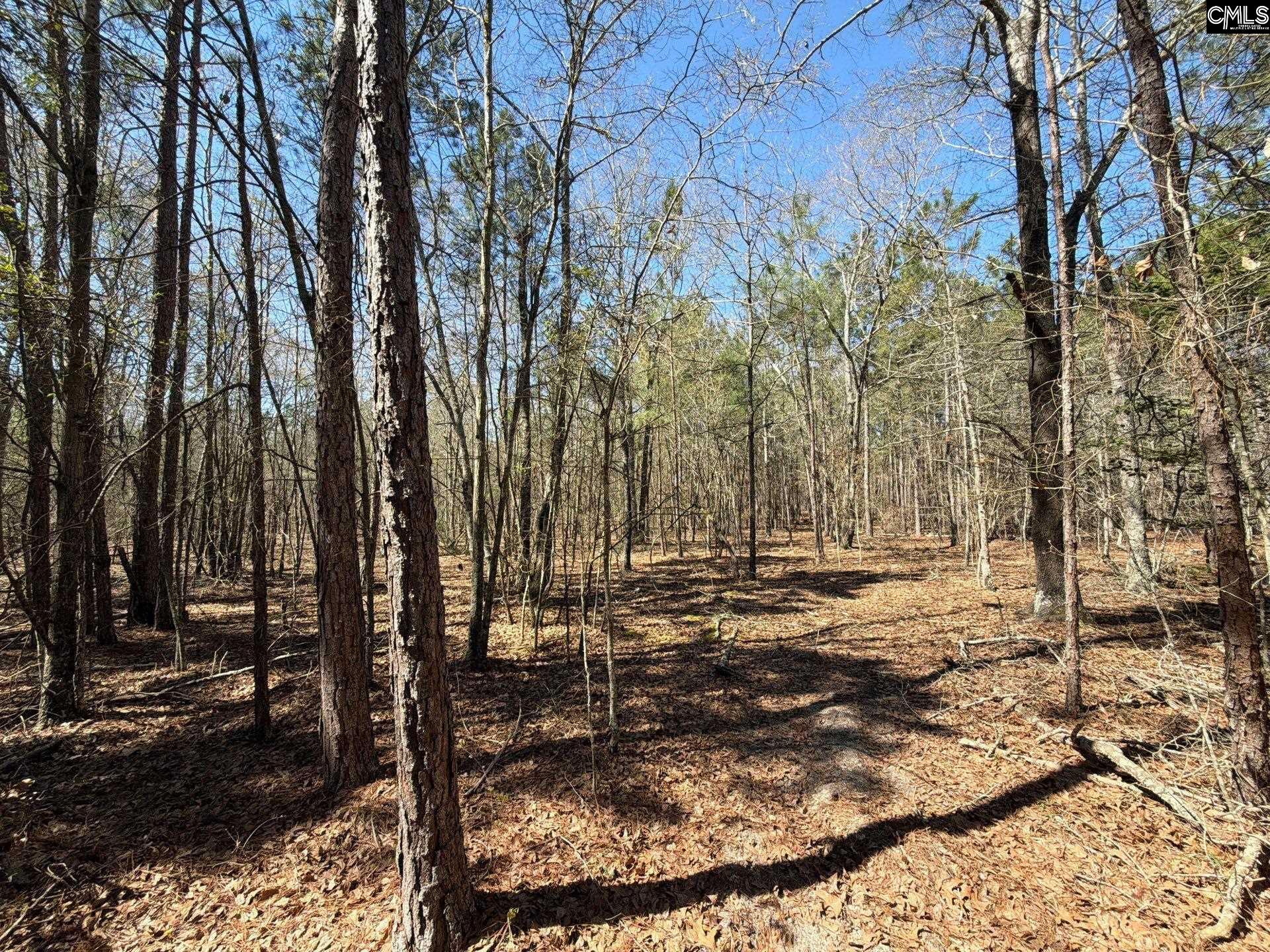 10 Boise Cascade Road, Unit BHL 10 Bethune, SC 29009 - Photo 8 of 24