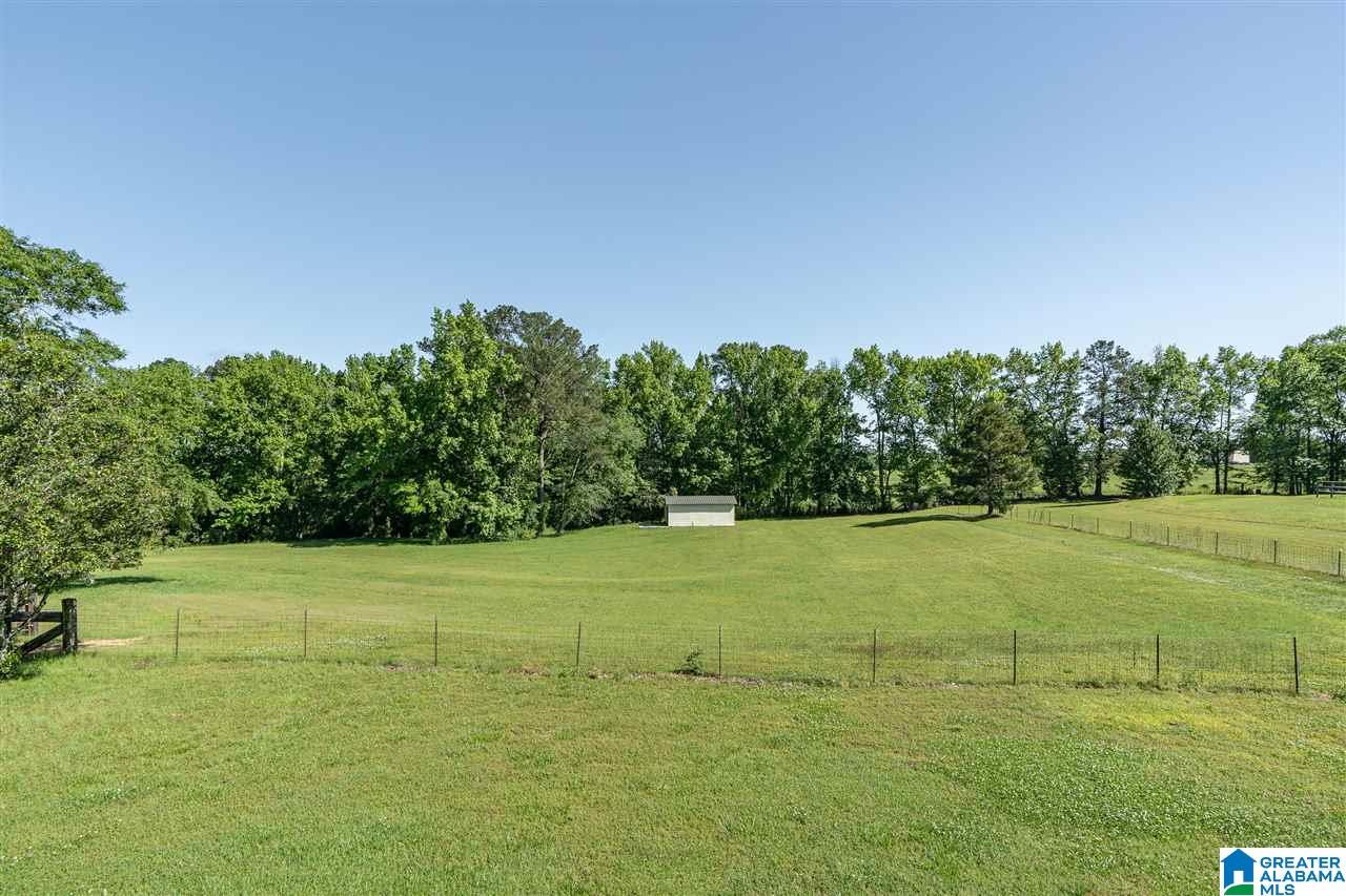 4523 Greathouse Road Dora, AL 35062 - Photo 47 of 50