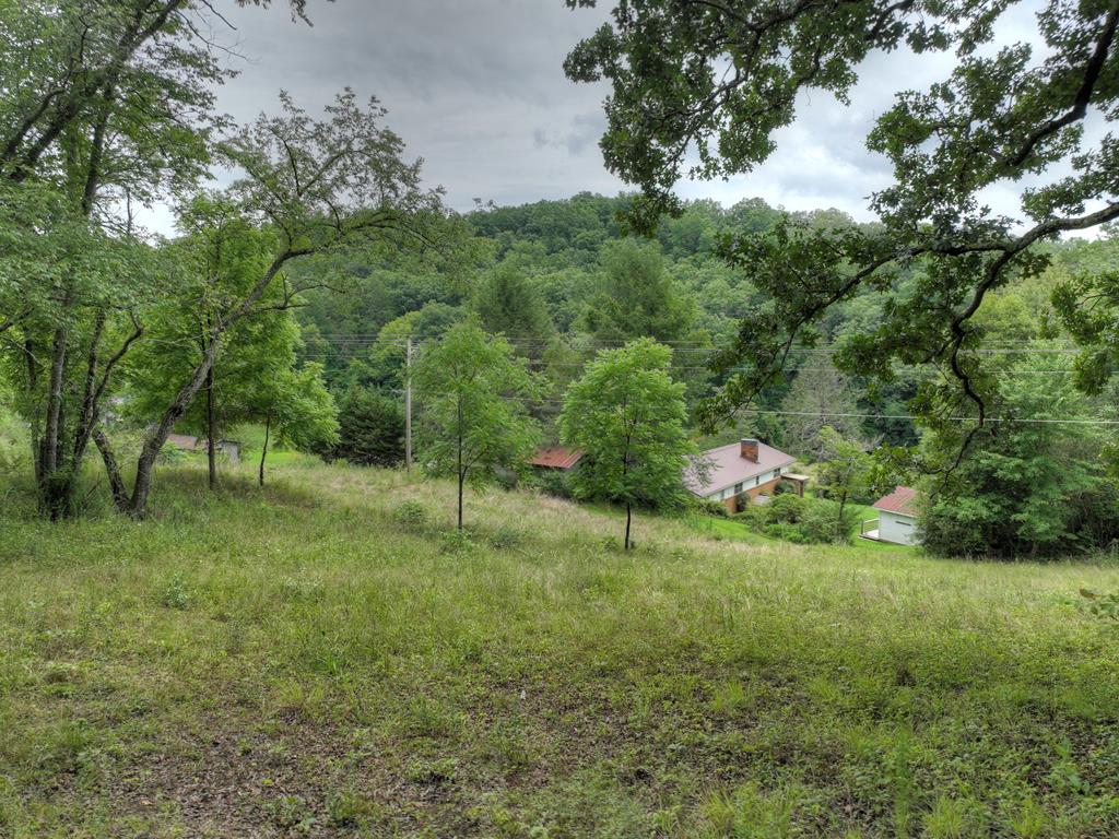 5171 Old Highway 76 Blue Ridge, GA 30513 - Photo 24 of 31