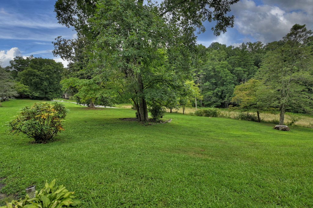 5171 Old Highway 76 Blue Ridge, GA 30513 - Photo 3 of 31