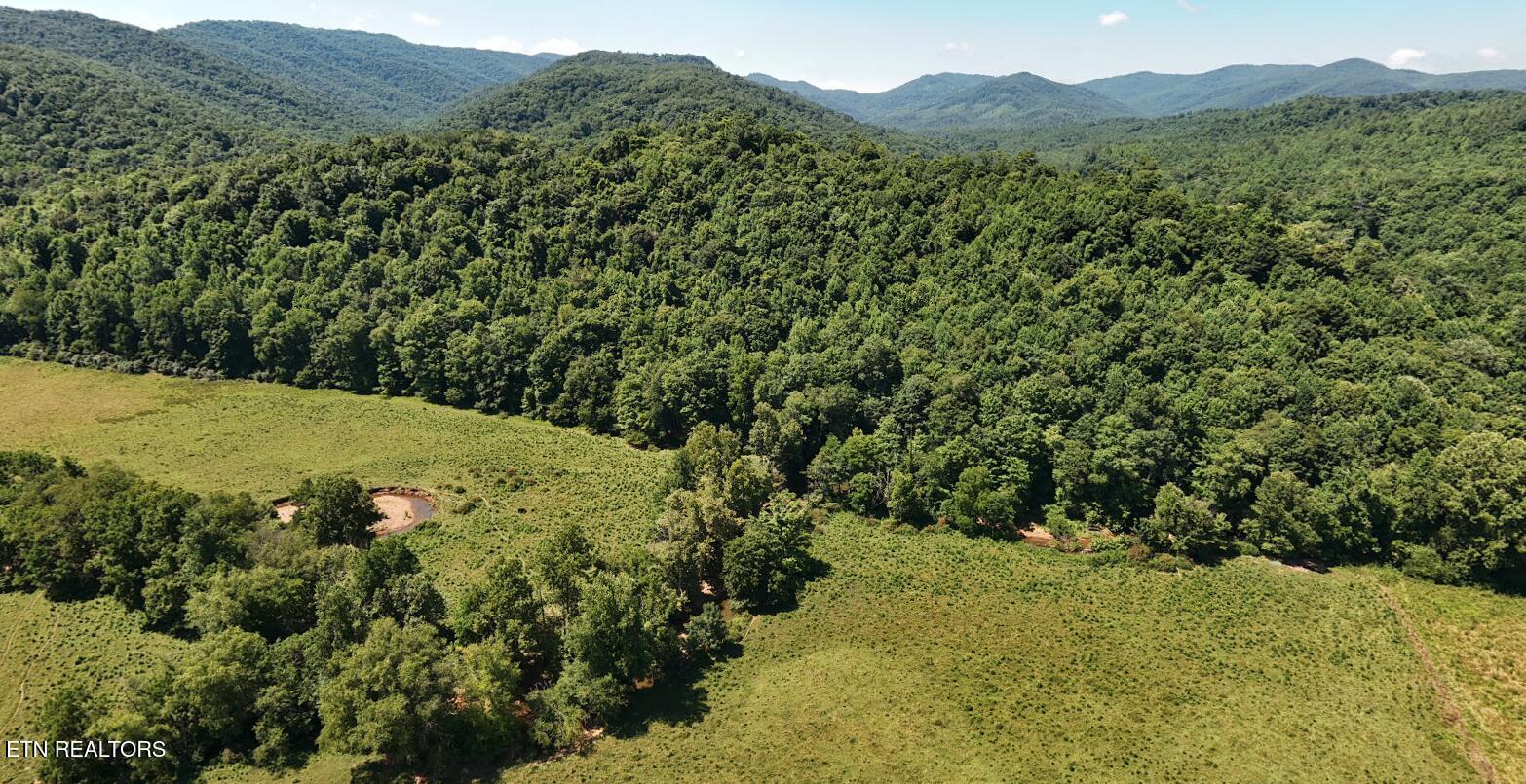 Image 7-8-26 at 5.40PM
