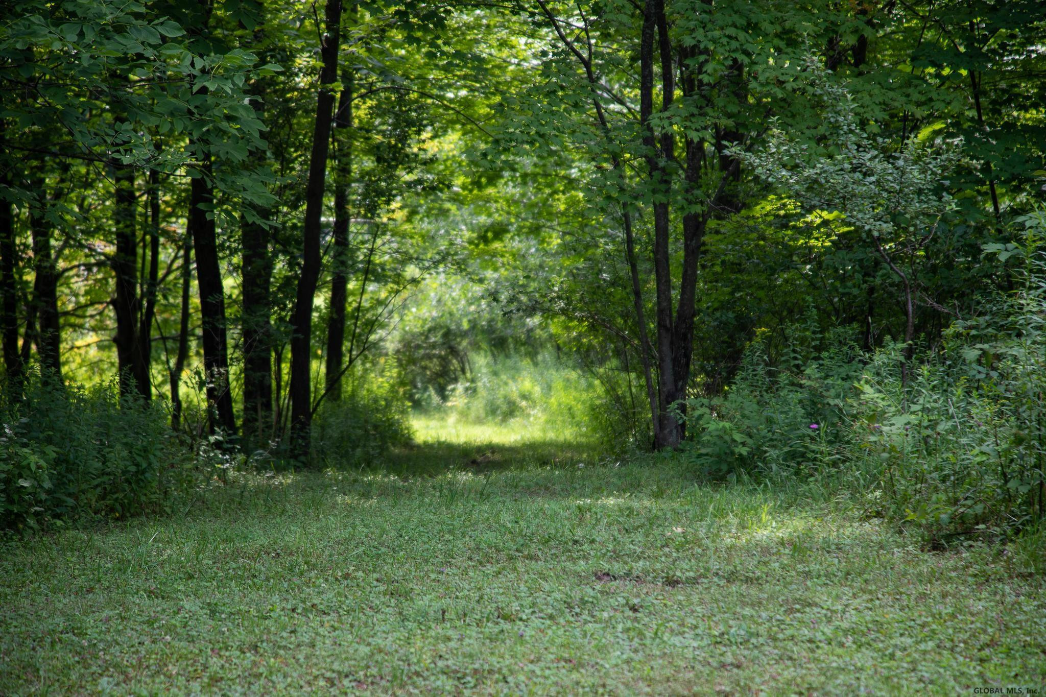 432 Sawyer Hollow Road Summit, NY 12175 - Photo 34 of 57 Photo 34
