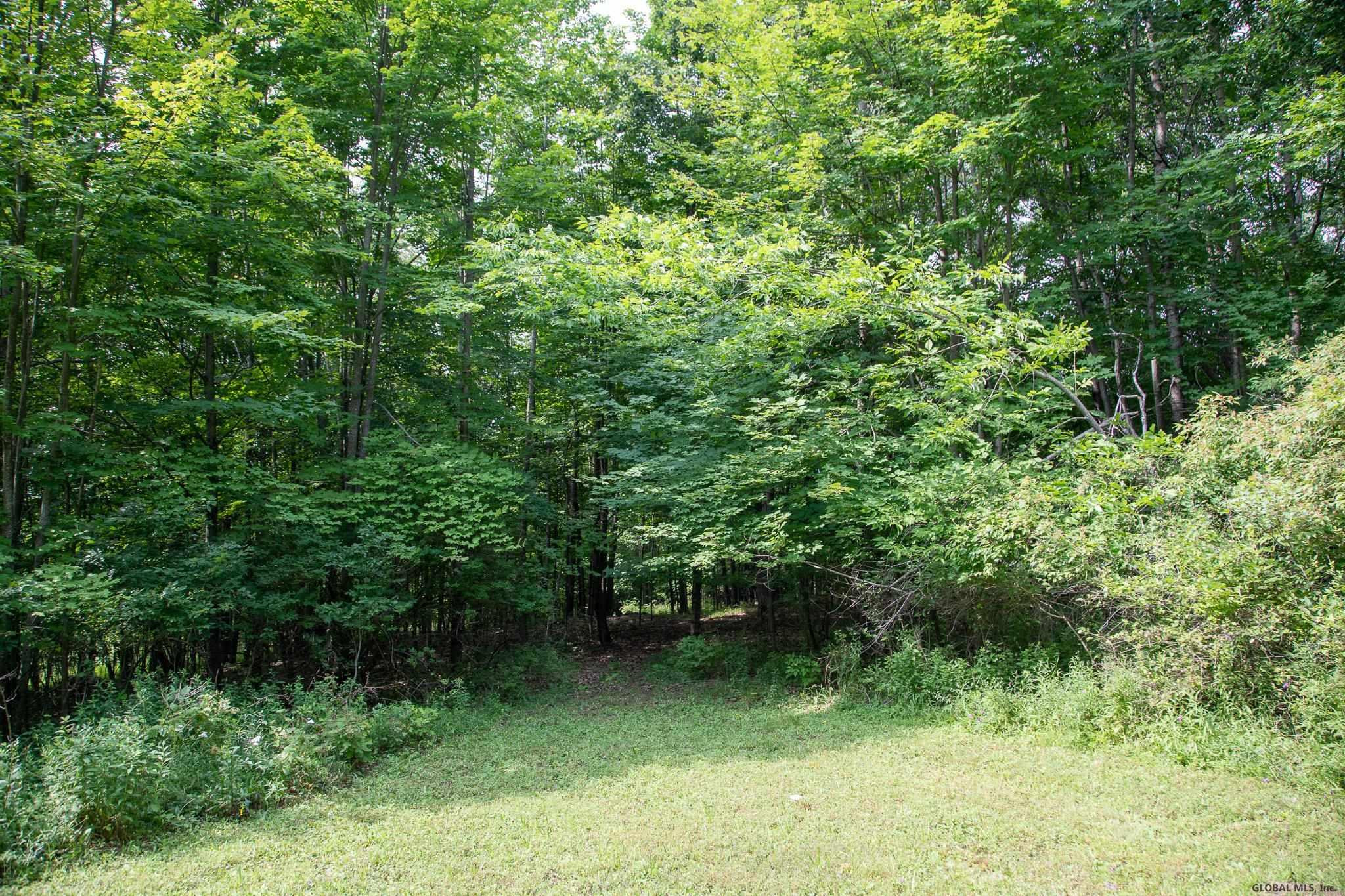 432 Sawyer Hollow Road Summit, NY 12175 - Photo 36 of 57 Photo 36