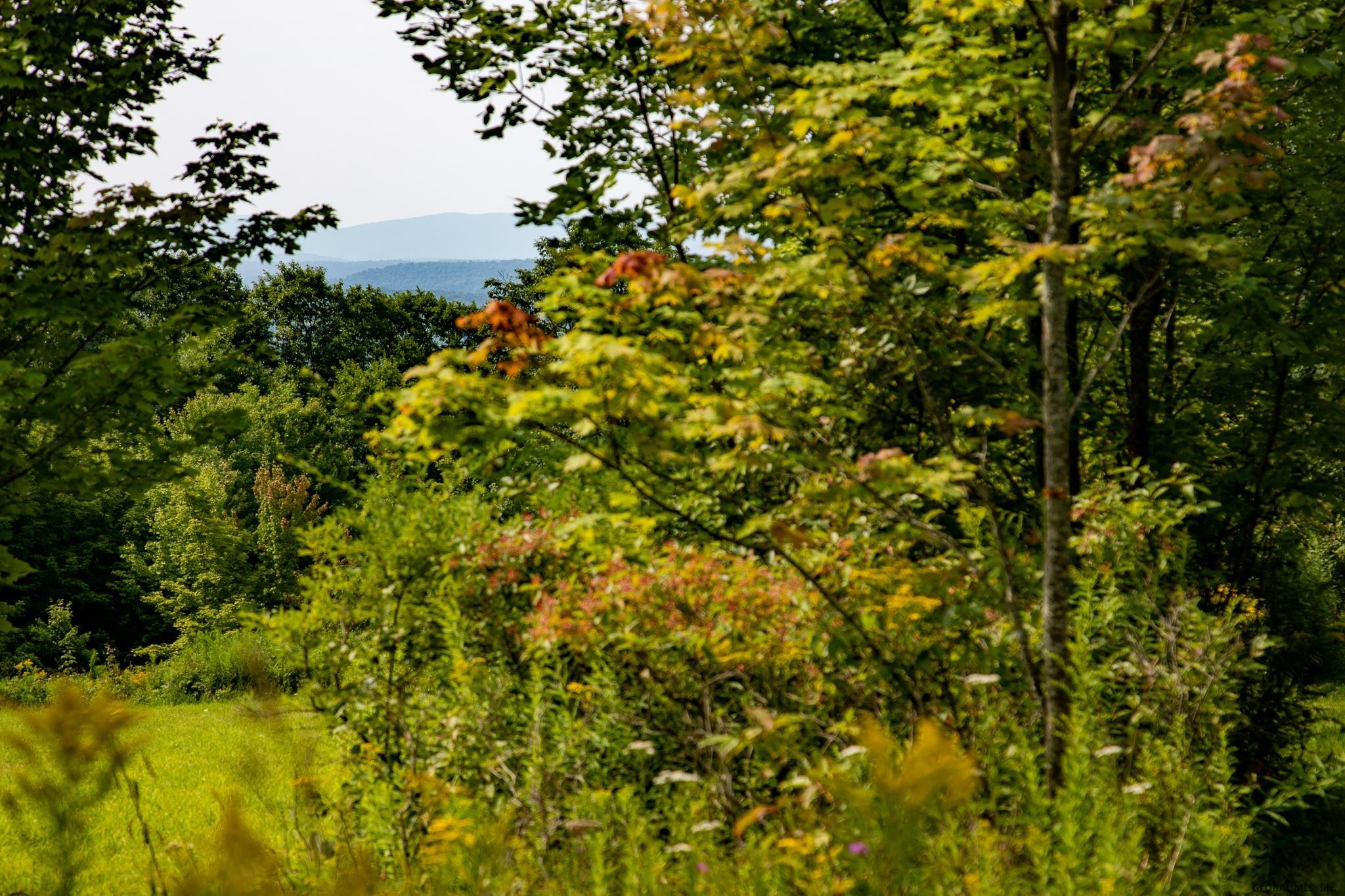 432 Sawyer Hollow Road Summit, NY 12175 - Photo 44 of 57 Photo 44