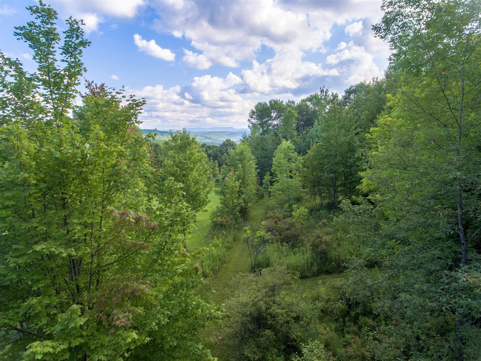 432 Sawyer Hollow Road Summit, NY 12175 - Photo 50 of 57 Photo 50