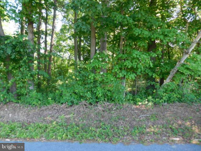 0 Stoudts Ferry Bridge Road Reading, PA 19605 - Photo 1 of 16 Gallery Image 1