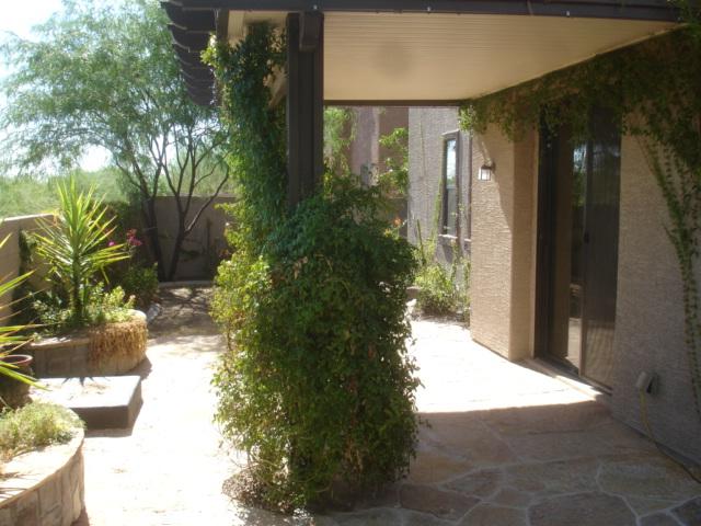 2353 West Sleepy Ranch Road Phoenix, AZ 85085 - Photo 2 of 8 back yard