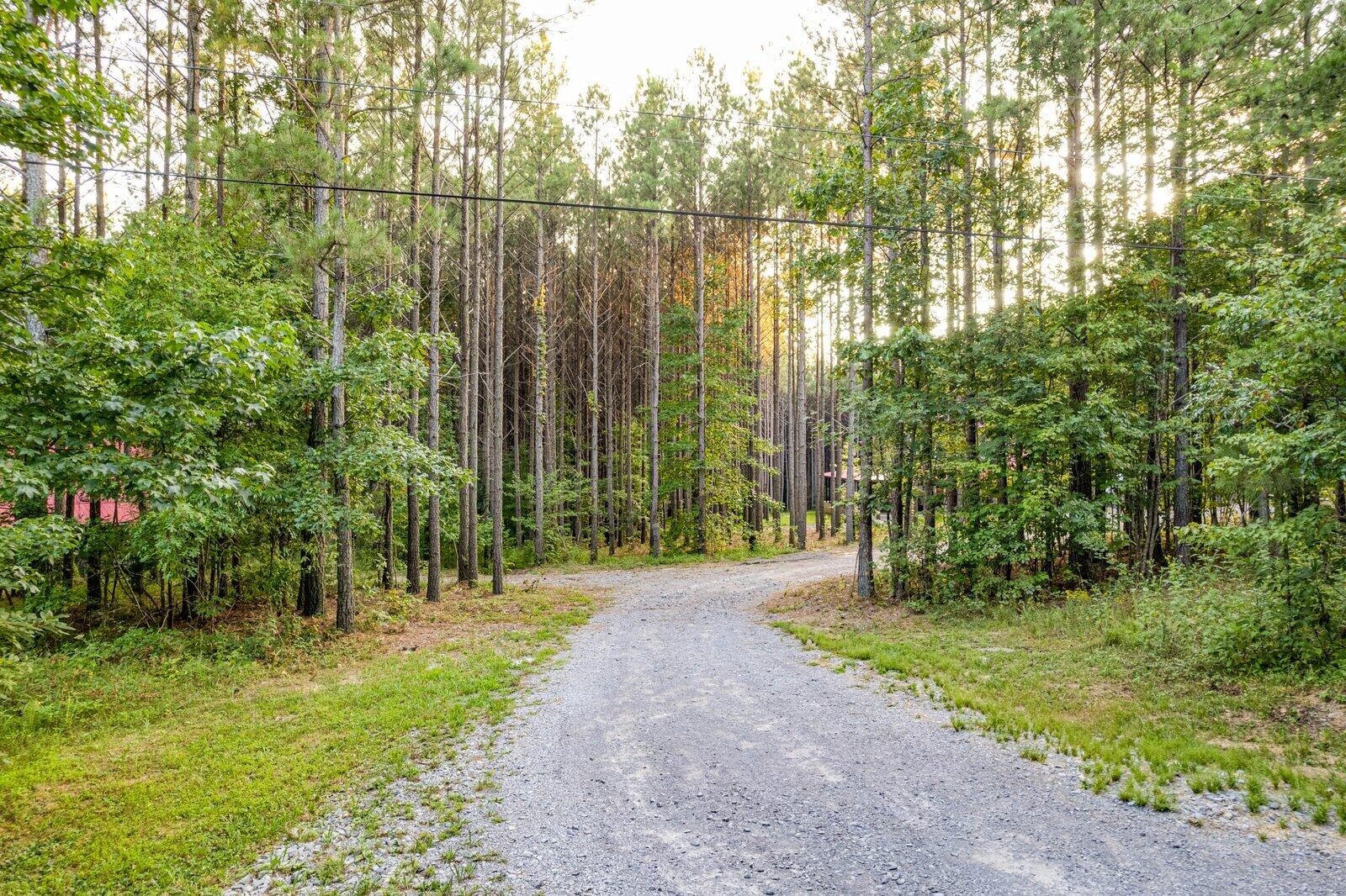 1194 Horseshoe Road Signal Mountain, TN 37377 - Photo 52 of 60 1194 Horseshoe Rd-61