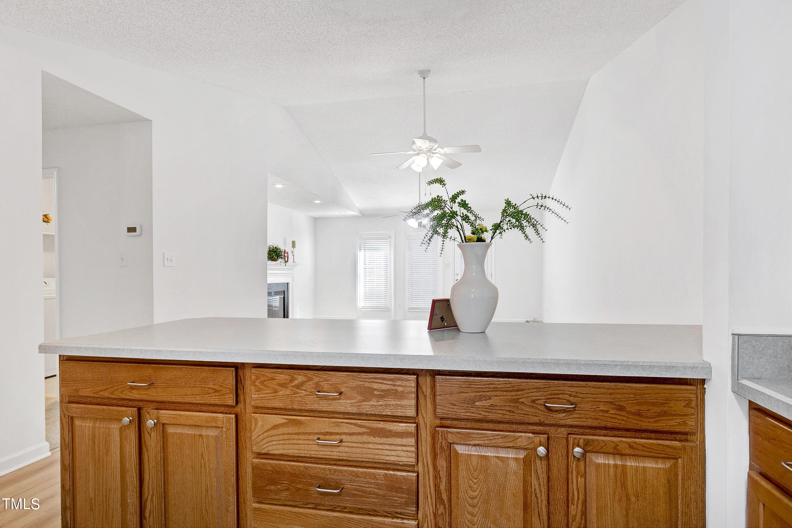 6702 Twin Tree Court Raleigh, NC 27613 - Photo 14 of 30 Kitchen 5