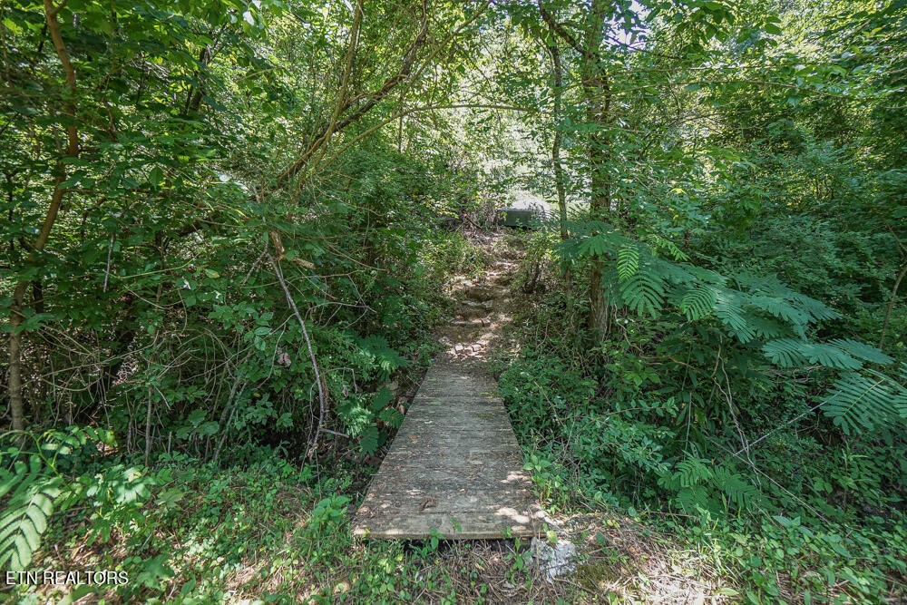 669 Butler Mill Road Maryville, TN 37803 - Photo 11 of 60 Gallery Image 11
