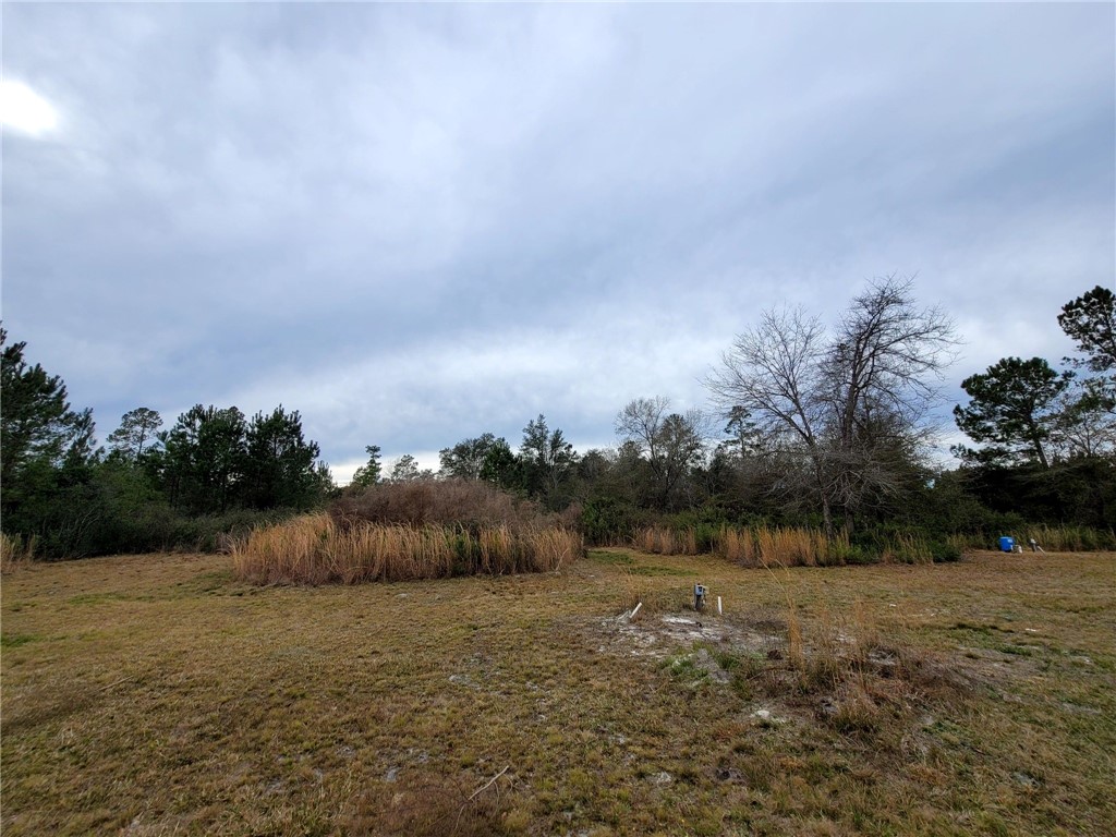 31142 Knight Road Hilliard, FL 32046 - Photo 26 of 31 Gallery Image 26