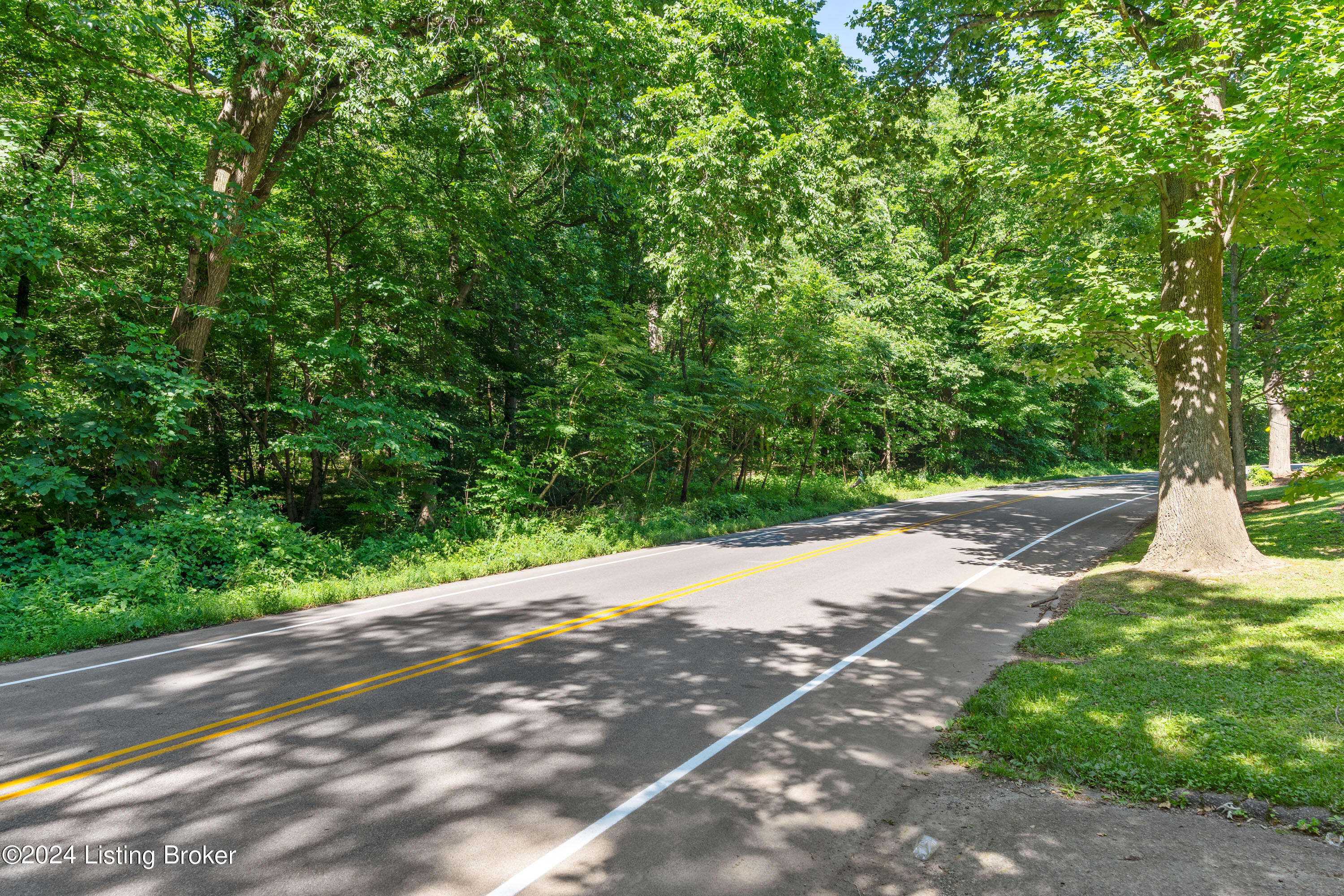 1552 Cherokee Road Louisville, KY 40205 - Photo 13 of 148 1552CherokeeRd - 20240613058