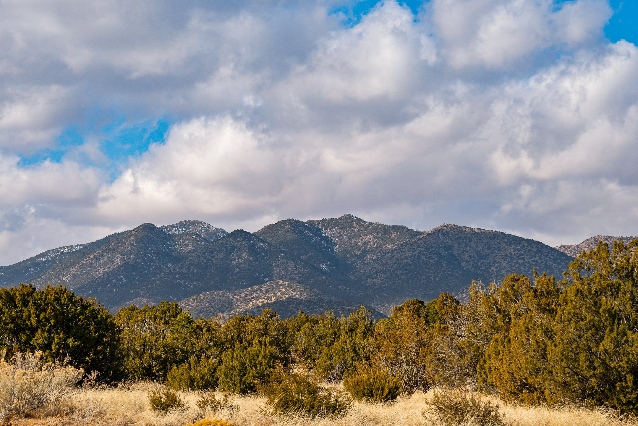 156 Wagon Trail Road Cerrillos, NM 87010 - Photo 3 of 24