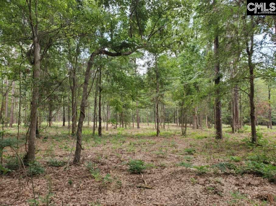 220 Courtland Road Chapin, SC 29036 - Photo 2 of 11