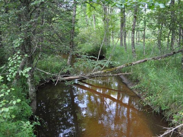 N13269 Flom Road Wausaukee, WI 54177 - Photo 10 of 18 Gallery Image 10