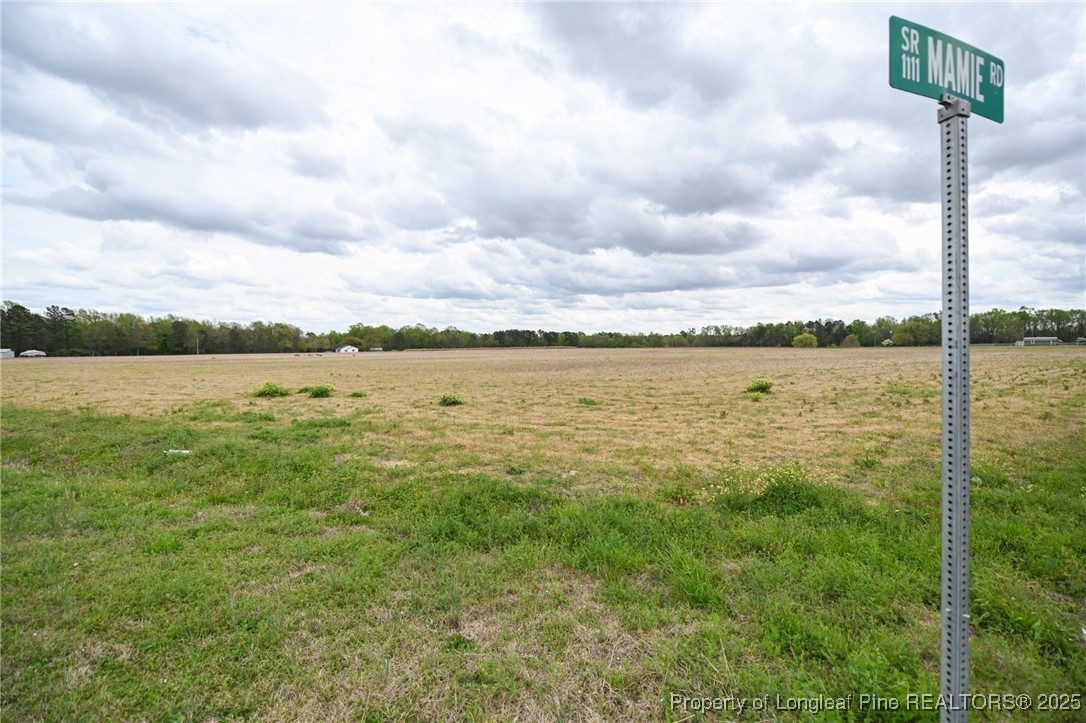 95 Mamie Road Benson, NC 27504 - Photo 2 of 8 a view of an ocean from a yard