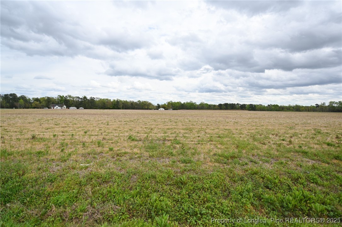 95 Mamie Road Benson, NC 27504 - Photo 3 of 8 a view of an ocean from a lake