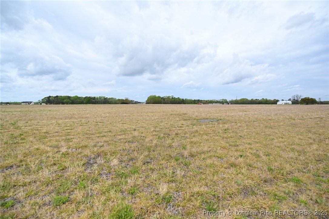 95 Mamie Road Benson, NC 27504 - Photo 6 of 8