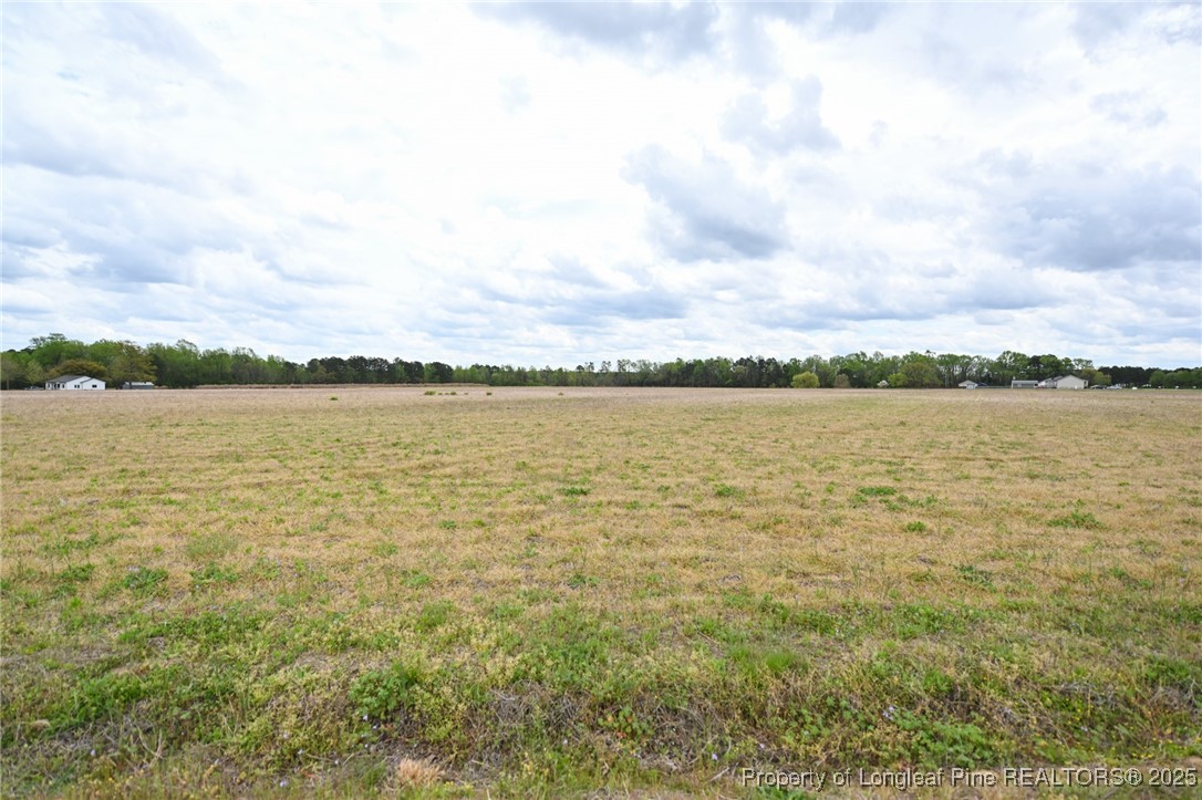 95 Mamie Road Benson, NC 27504 - Photo 7 of 8