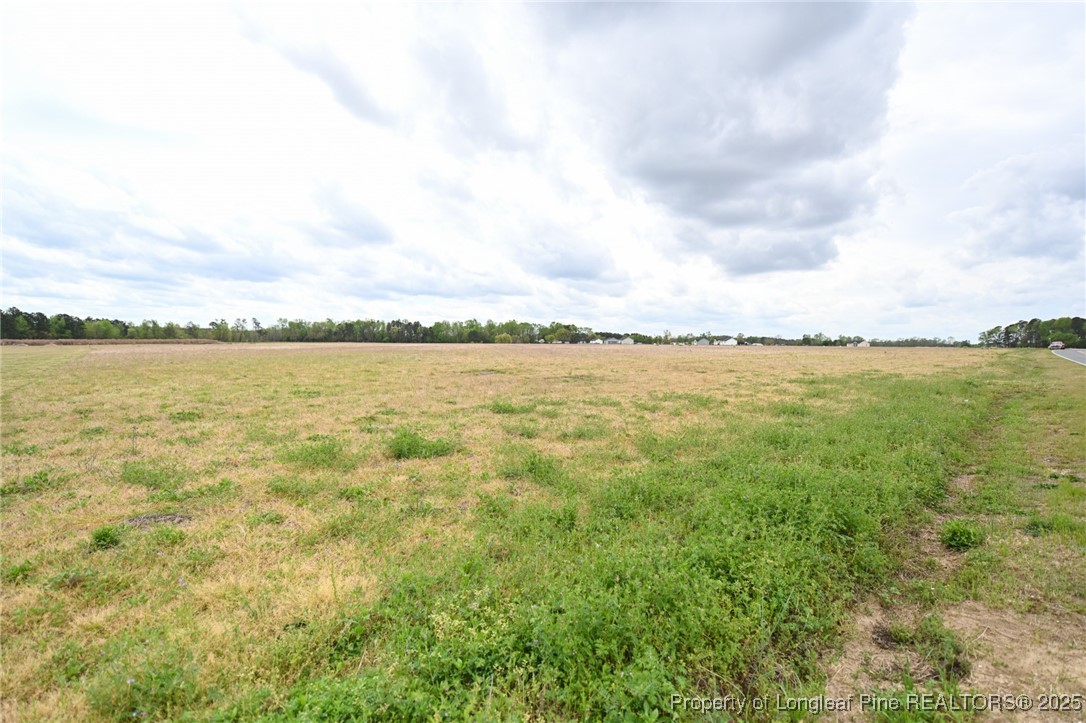 95 Mamie Road Benson, NC 27504 - Photo 8 of 8 a view of an ocean