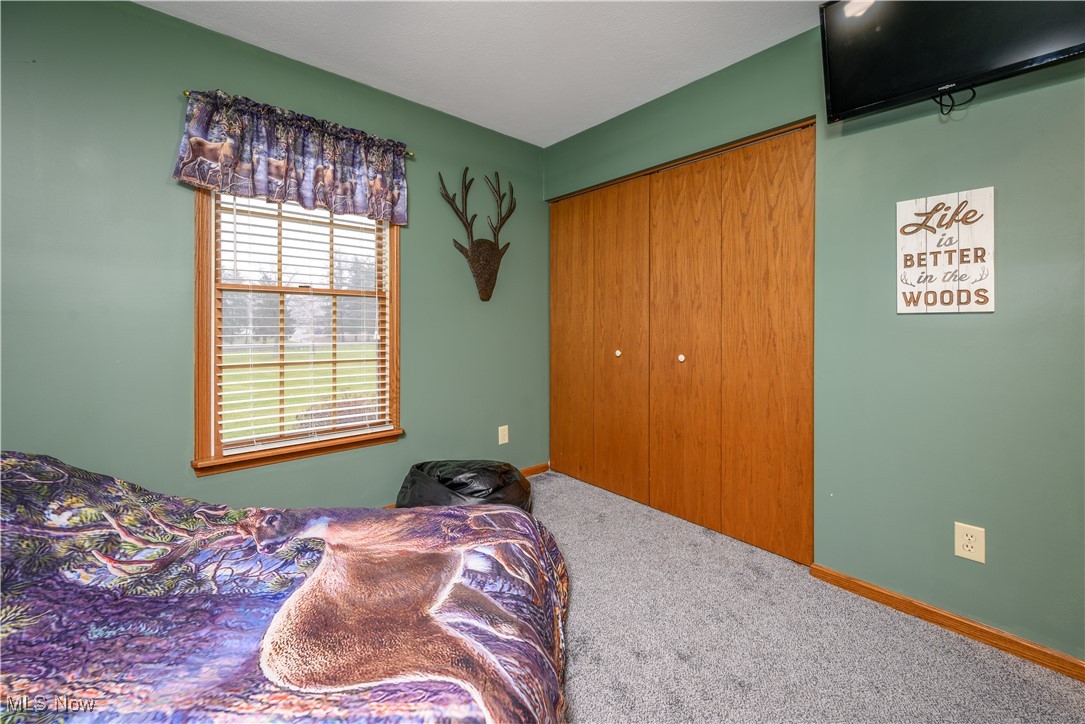 893 Industry Road Atwater, OH 44201 - Photo 20 of 50 Bedroom with a closet and carpet floors