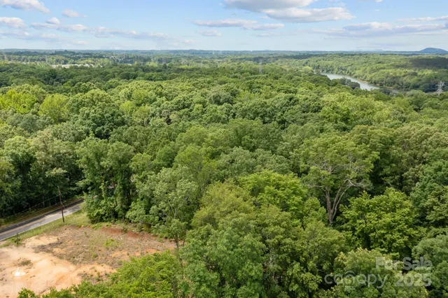 a view of a forest with trees in the background