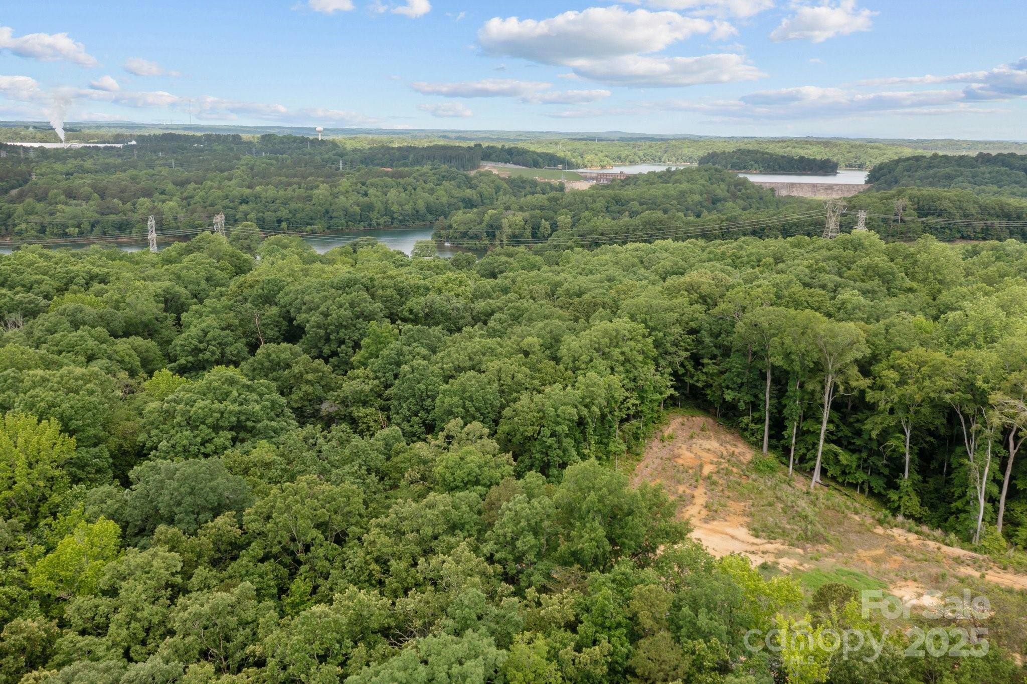 1607 Hart Road Charlotte, NC 28214 - Photo 5 of 14 a view of a lush green forest with lots of trees