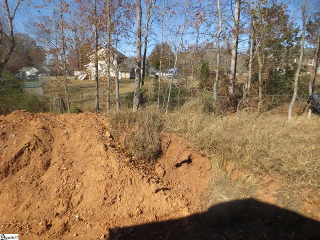 $769,000 | 118 Rickys Path, Easley, SC 29642