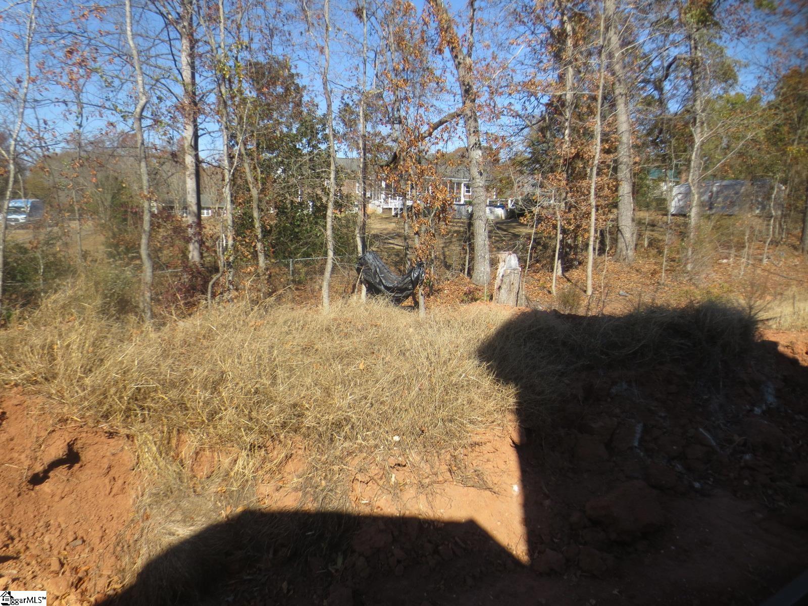 118 Rickys Path Easley, SC 29642 - Photo 24 of 49