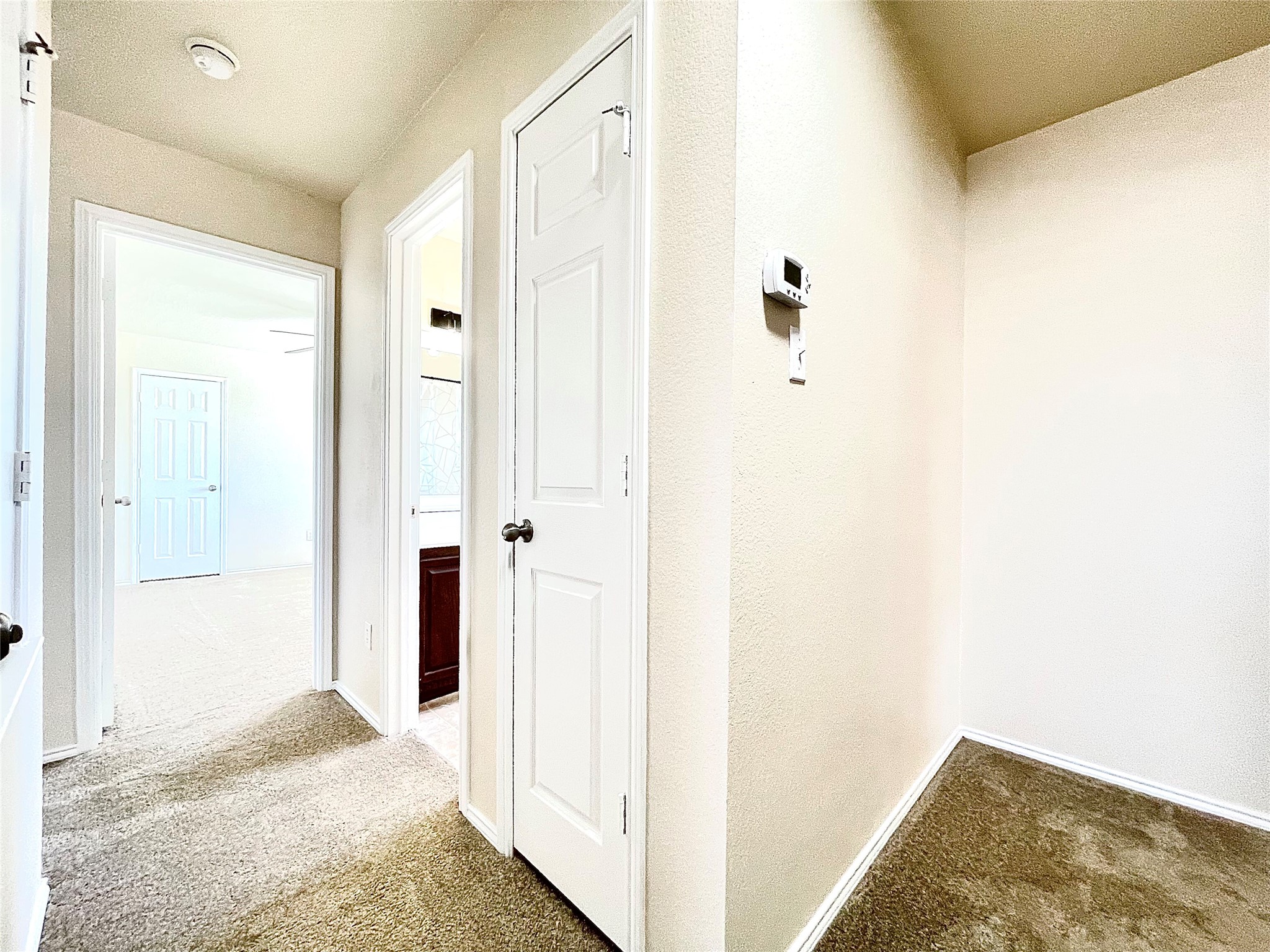 508 Emma Rose Trail Leander, TX 78641 - Photo 21 of 40 A well-maintained hallway offers carpeted flooring and clear access to adjoining rooms.