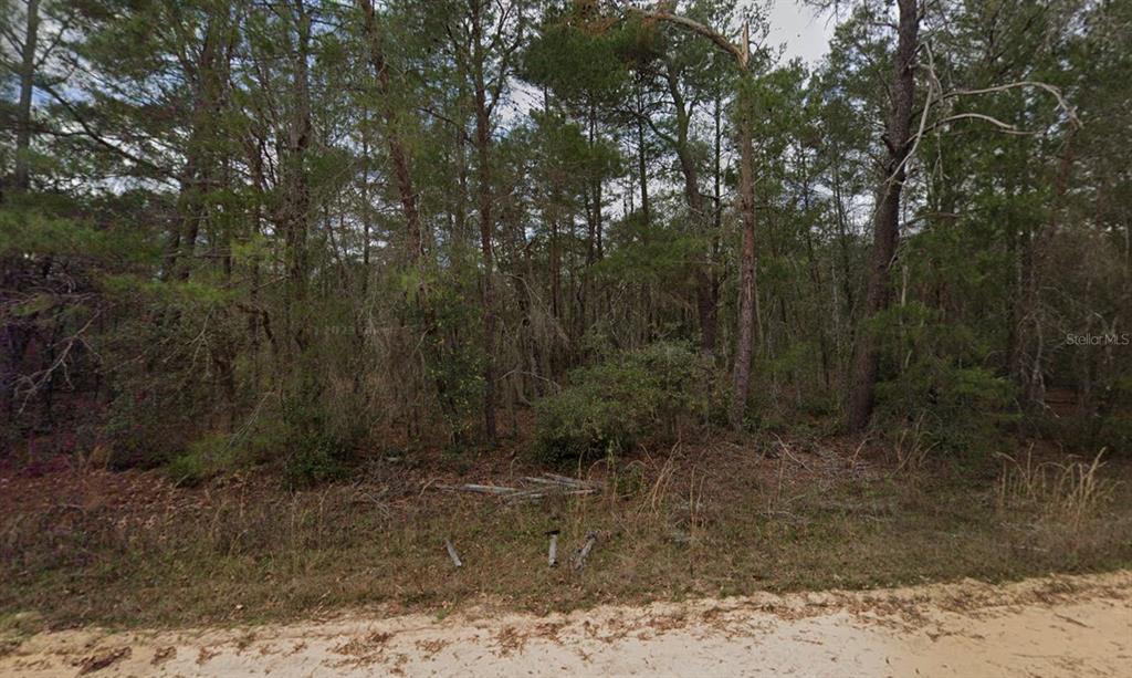 Neilson Avenue Interlachen, FL 32148 - Photo 1 of 8
