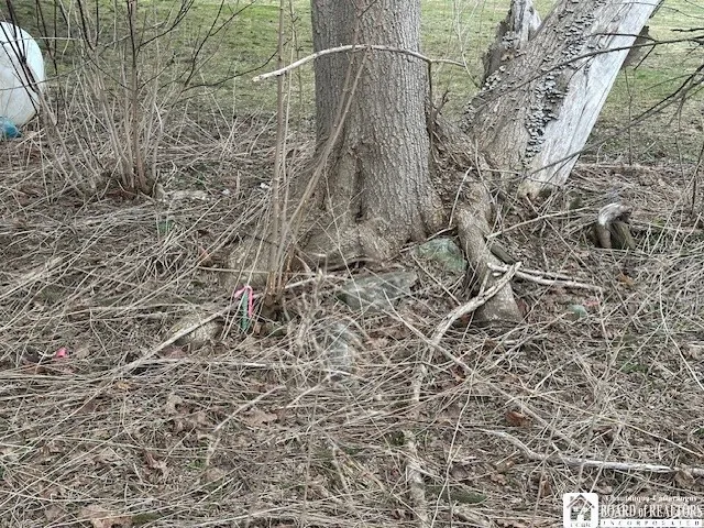 $25,000 | 5624 Highway 16, Ischua, NY 14743