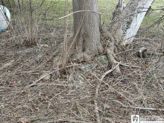 5624 Highway 16 Ischua, NY 14743 - Photo 7 of 8