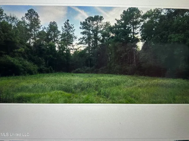 $45,900 | 456 Lakeside Drive, Carriere, MS 39426