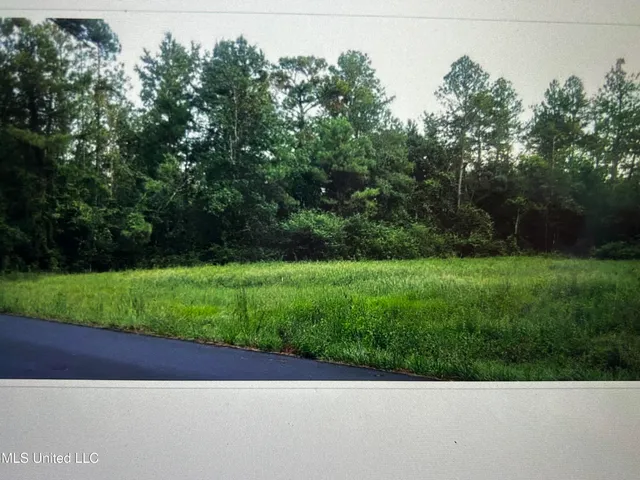 $45,900 | 456 Lakeside Drive, Carriere, MS 39426