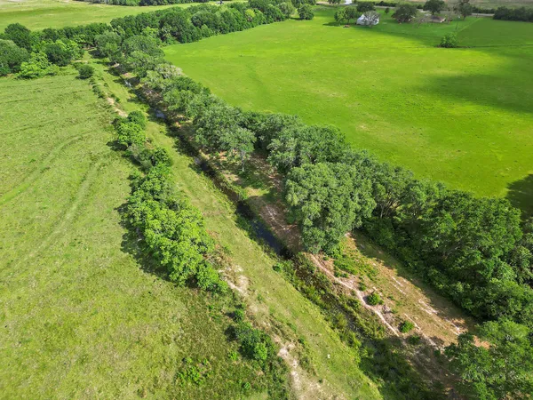 a view of a green field with lots of bushes