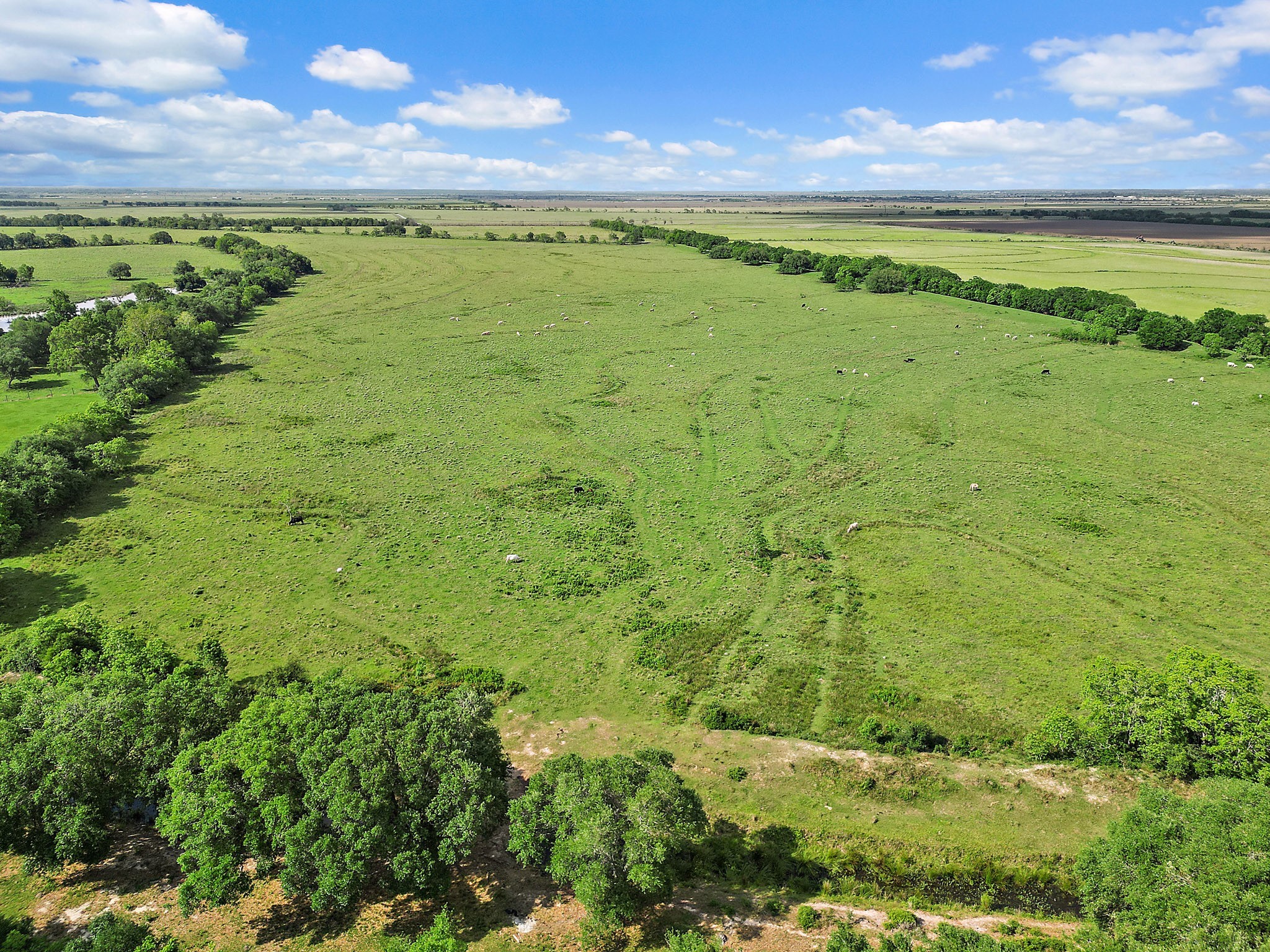 0 State Highway Winnie, TX 77665 - Photo 6 of 7 a view of an outdoor space and a yard