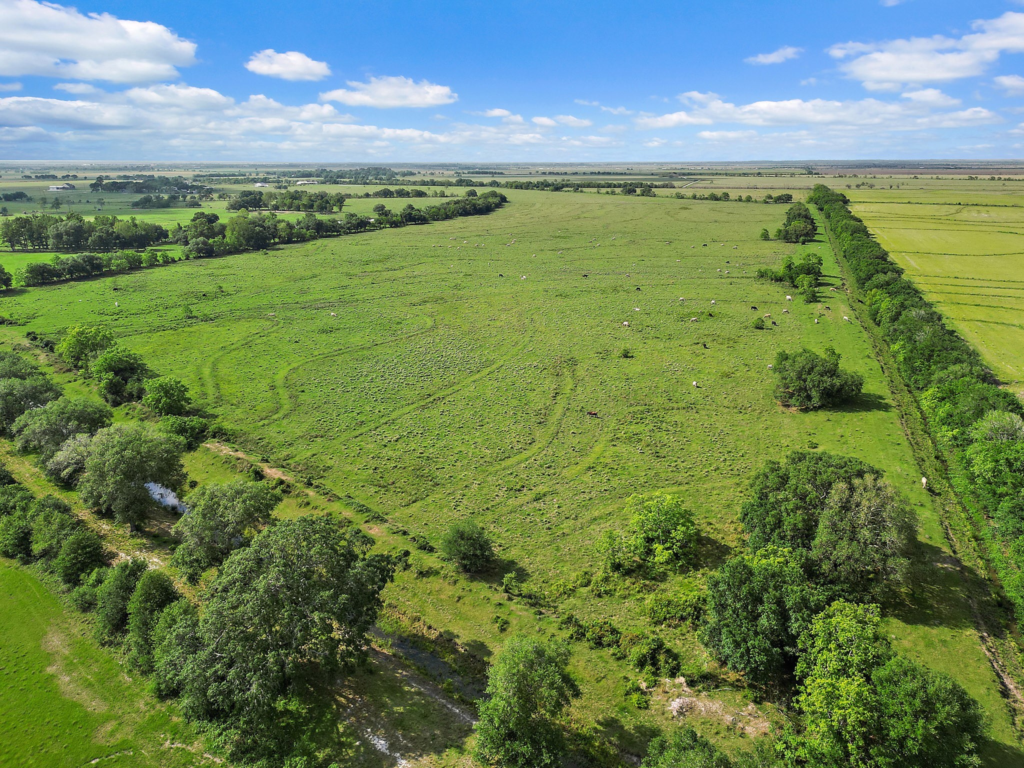 0 State Highway Winnie, TX 77665 - Photo 7 of 7 a view of a field with an ocean view