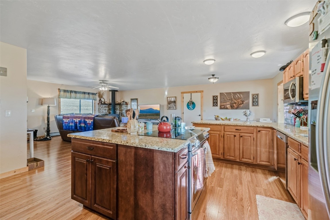 465 Litmer Road Jefferson, CO 80456 - Photo 18 of 50 Kitchen featuring appliances with stainless steel finishes, light wood finished floors, a peninsula, and ceiling fan