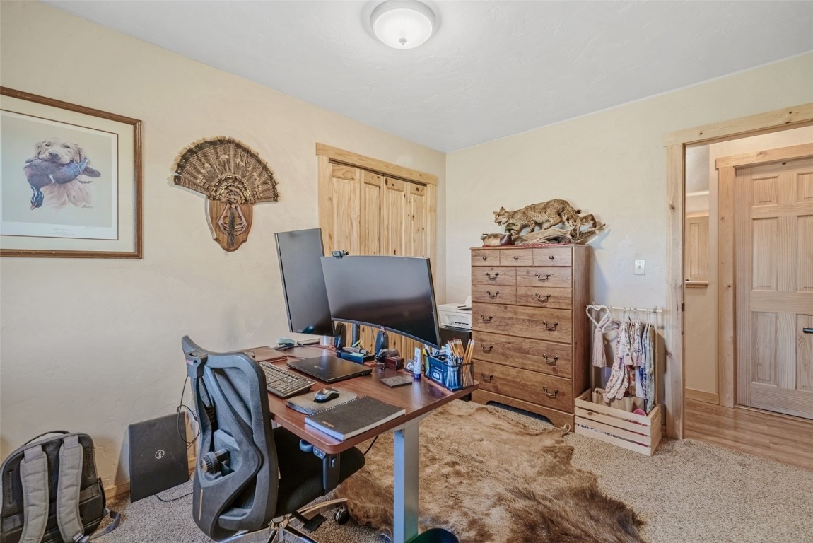 465 Litmer Road Jefferson, CO 80456 - Photo 28 of 50 Home office featuring carpet floors