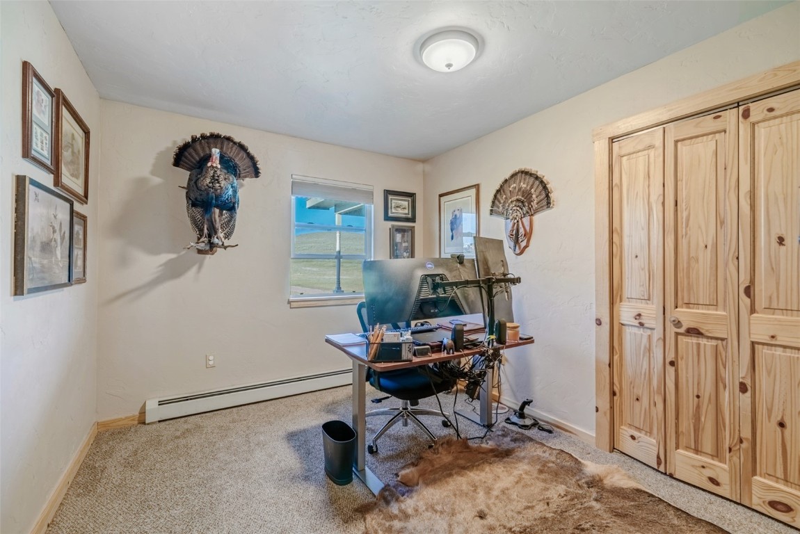 465 Litmer Road Jefferson, CO 80456 - Photo 29 of 50 Home office featuring a baseboard radiator and carpet flooring