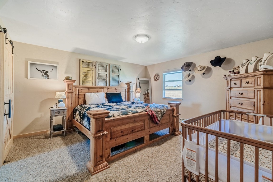 465 Litmer Road Jefferson, CO 80456 - Photo 31 of 50 Bedroom featuring light carpet