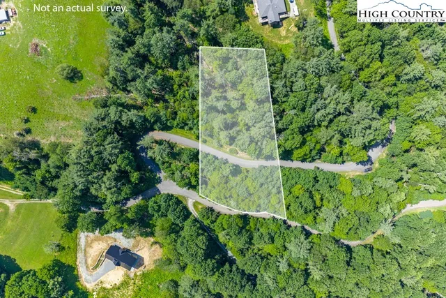 a view of a garden with an outdoor space