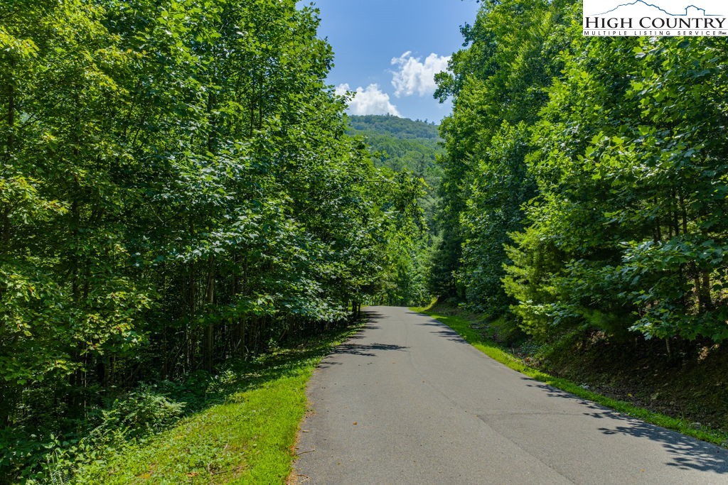 Bennick Place Sugar Grove, NC 28679 - Photo 11 of 18