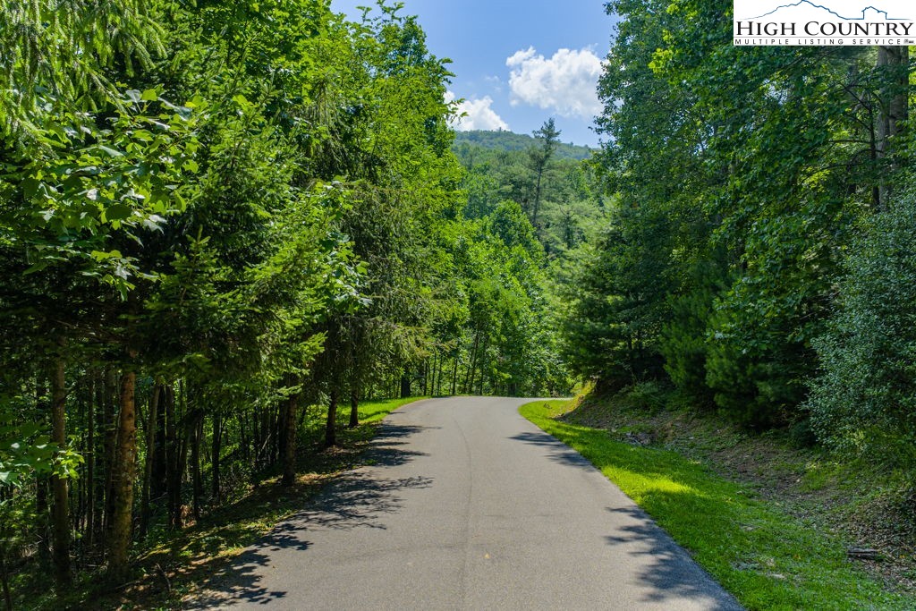 Bennick Place Sugar Grove, NC 28679 - Photo 12 of 18 a view of a street with a trees